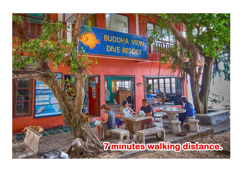 Surat Thani Province Koh Tao Surrounding environment