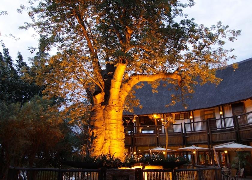 Chobe Kasane Terrace/patio