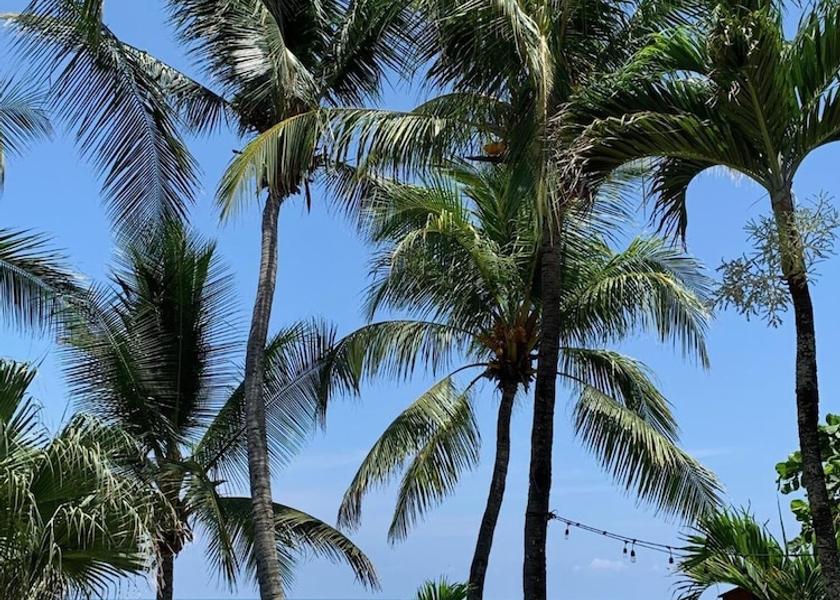 Puntarenas Jaco Beach