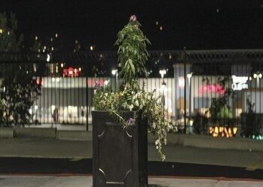 Missouri Branson View from Property