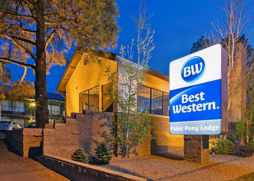 Arizona Show Low Primary image