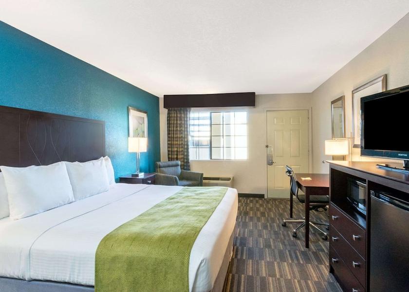 Texas Snyder Room