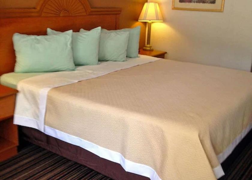 Louisiana Deridder Room