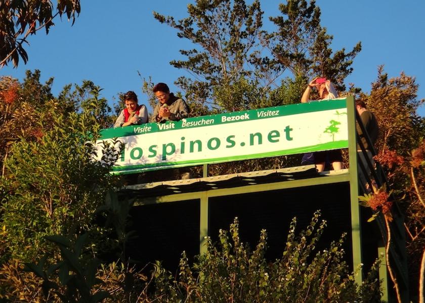 Puntarenas Monteverde View from Property