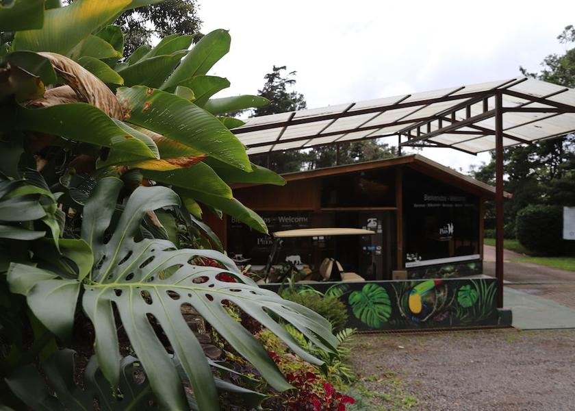 Puntarenas Province Monteverde Reception