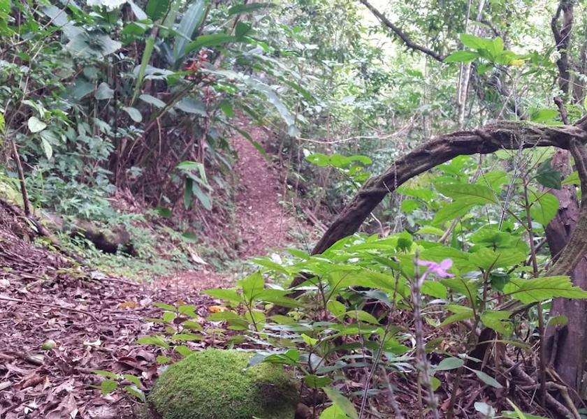 Puntarenas Monteverde Exterior Detail