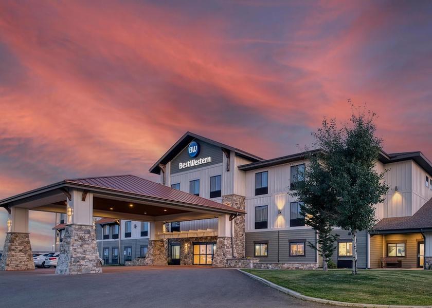 Montana Shelby Primary image