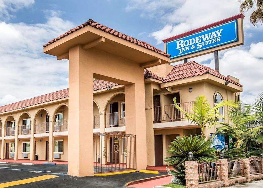 California Bellflower Primary image