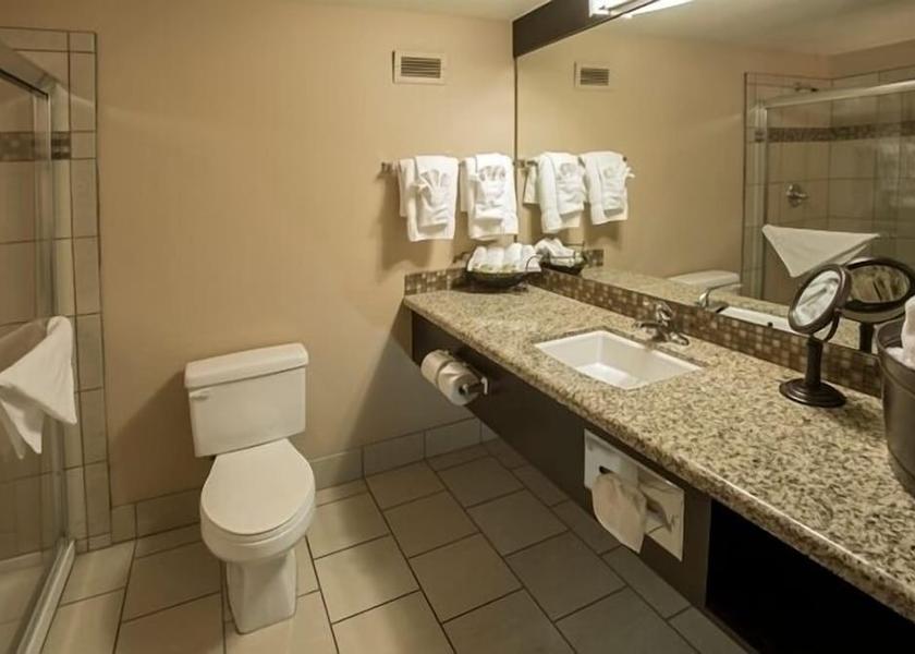 Nevada Pahrump Bathroom