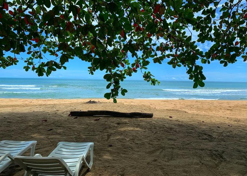 Limón Province Cahuita Point of interest