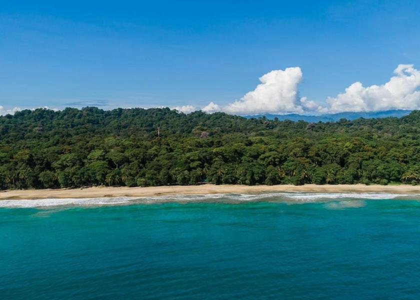 Limón Province Cahuita Beach
