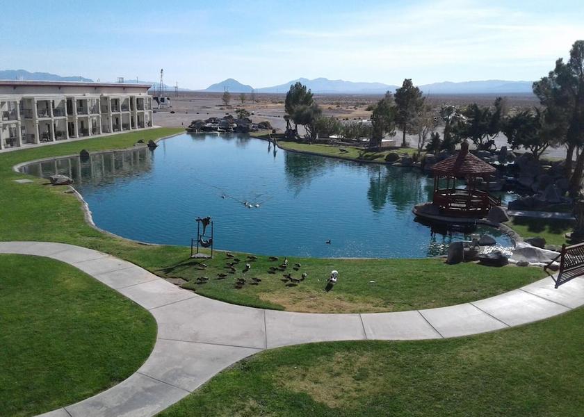 Nevada Amargosa Valley Pool