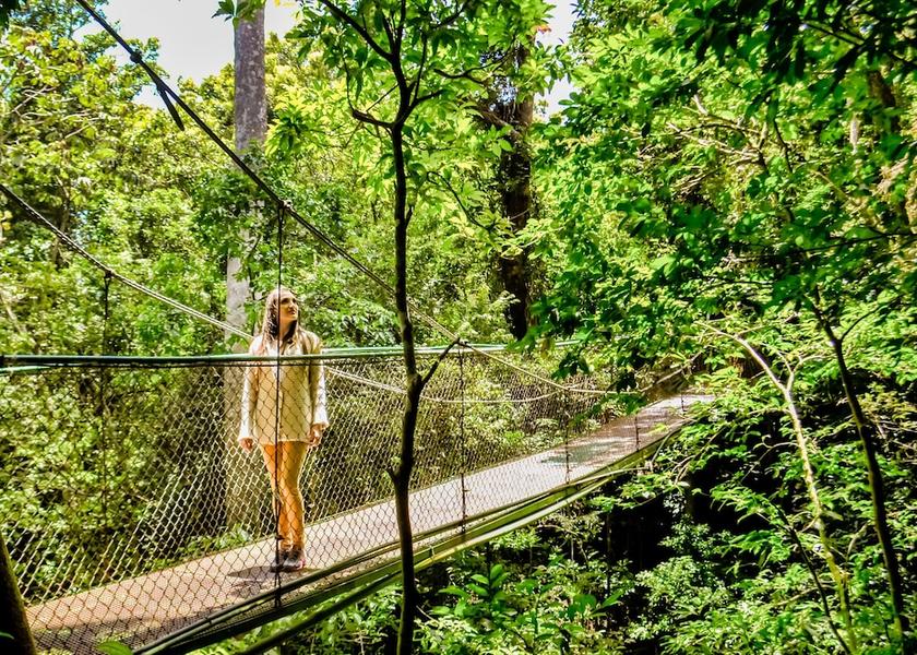 Puntarenas Province Monteverde Ecotours