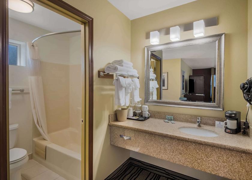 Minnesota Cottage Grove Bathroom