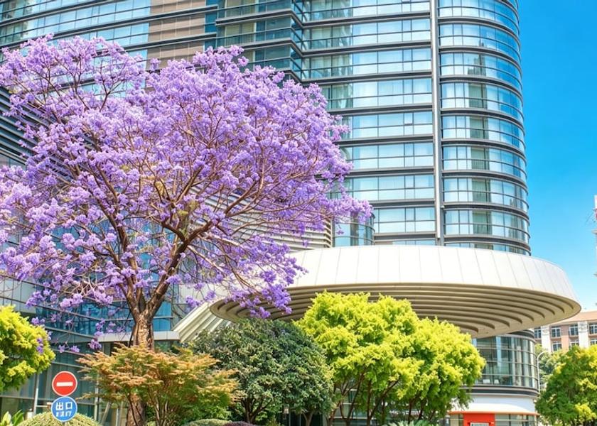 Sichuan Chengdu Exterior