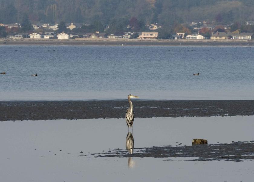 Minnesota Blaine Beach