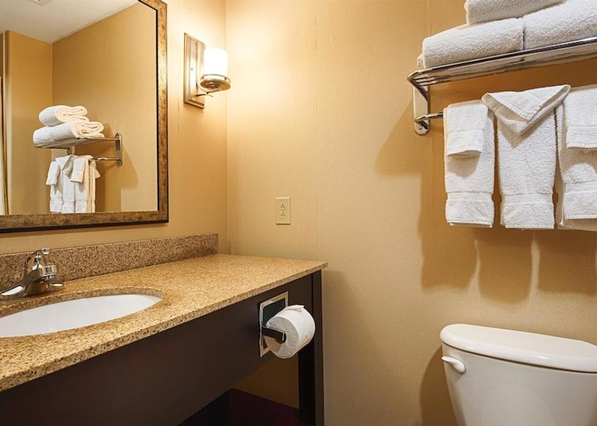 Mississippi Horn Lake Bathroom