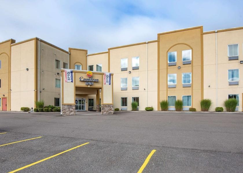 New York Apalachin Primary image