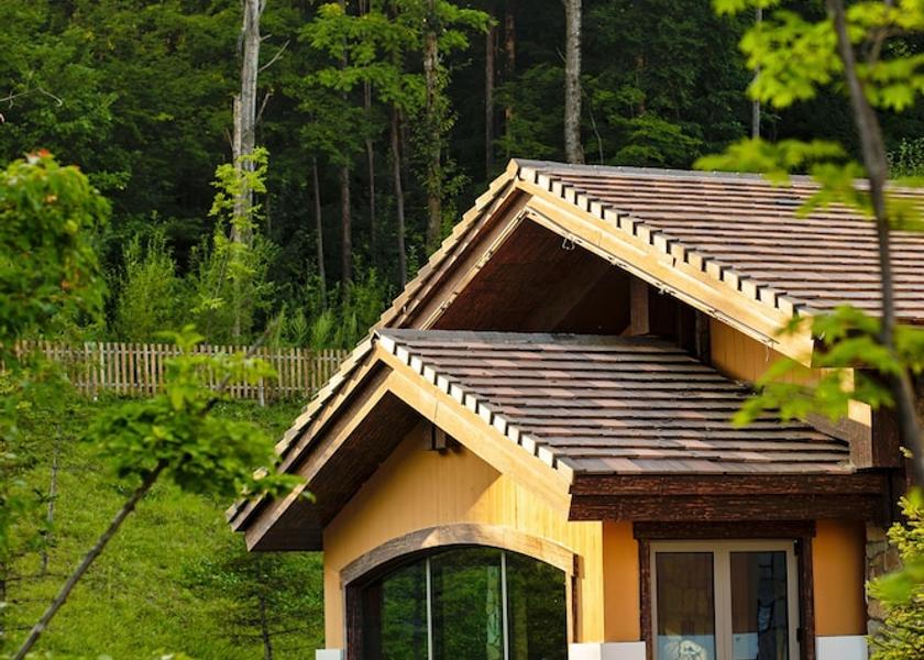 Jilin Baishan Exterior Detail
