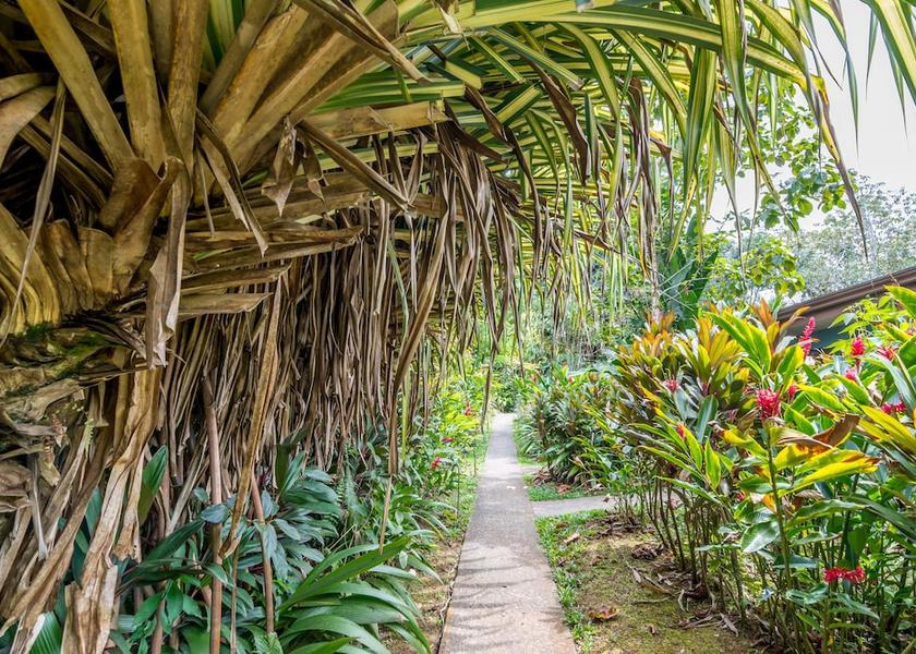 Heredia Sarapiqui Property Grounds