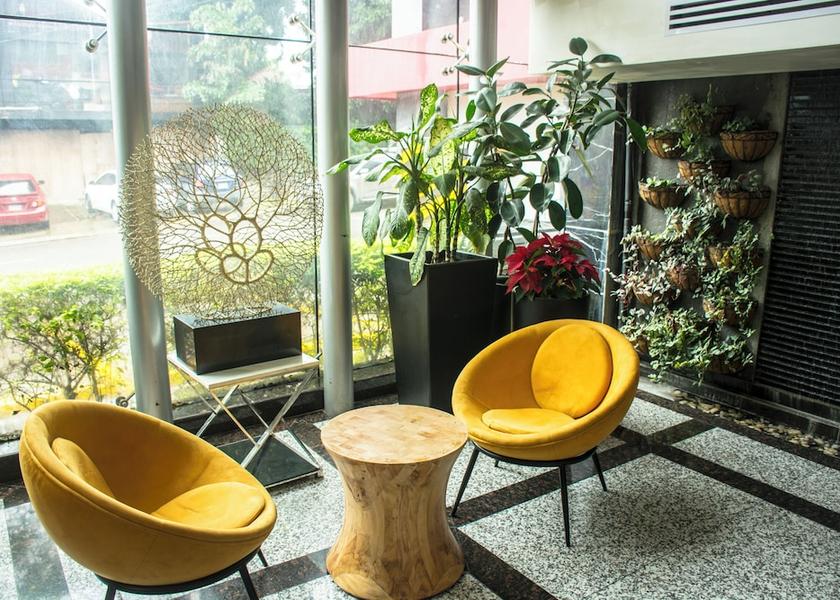 Cortes San Pedro Sula Reception