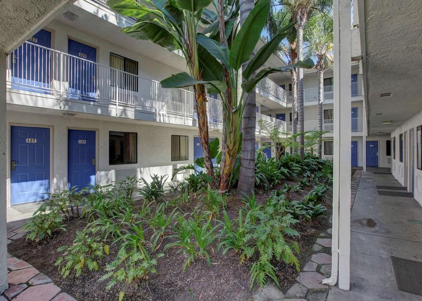 California Bellflower Exterior Detail