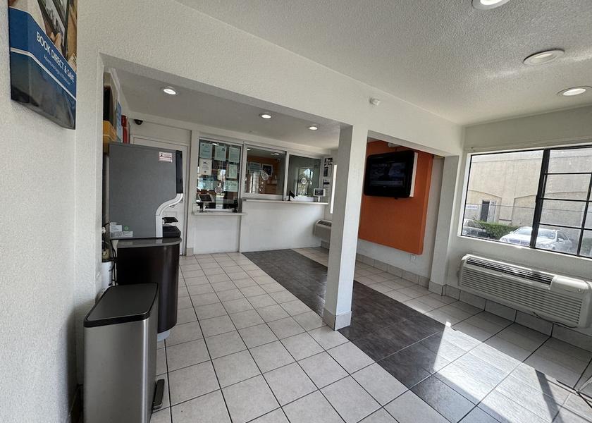 California Bellflower Reception