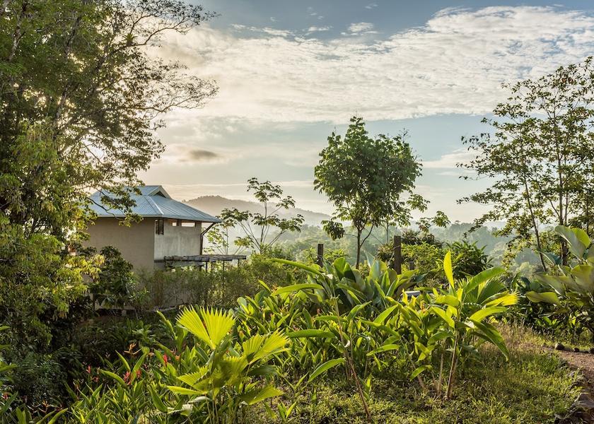 Puntarenas Drake Bay View from Property