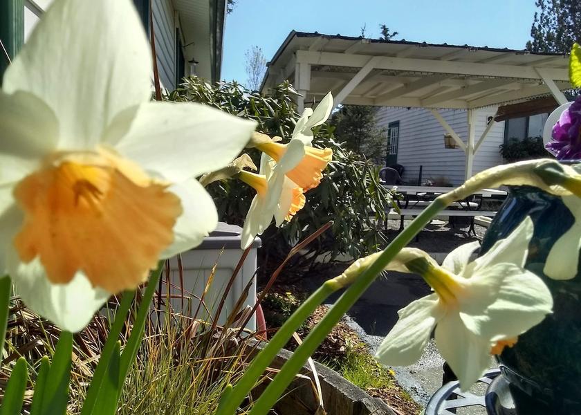 Washington Friday Harbor Terrace