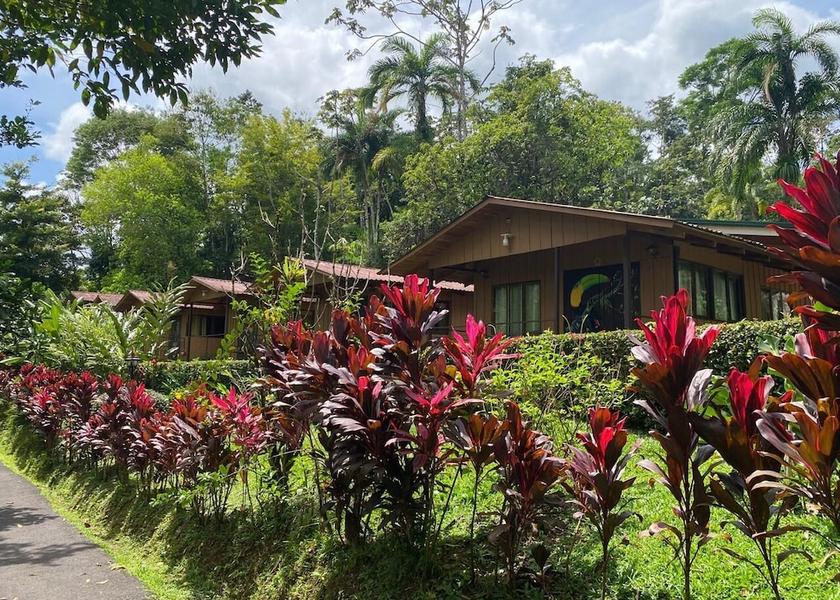 Alajuela Province Peñas Blancas Room