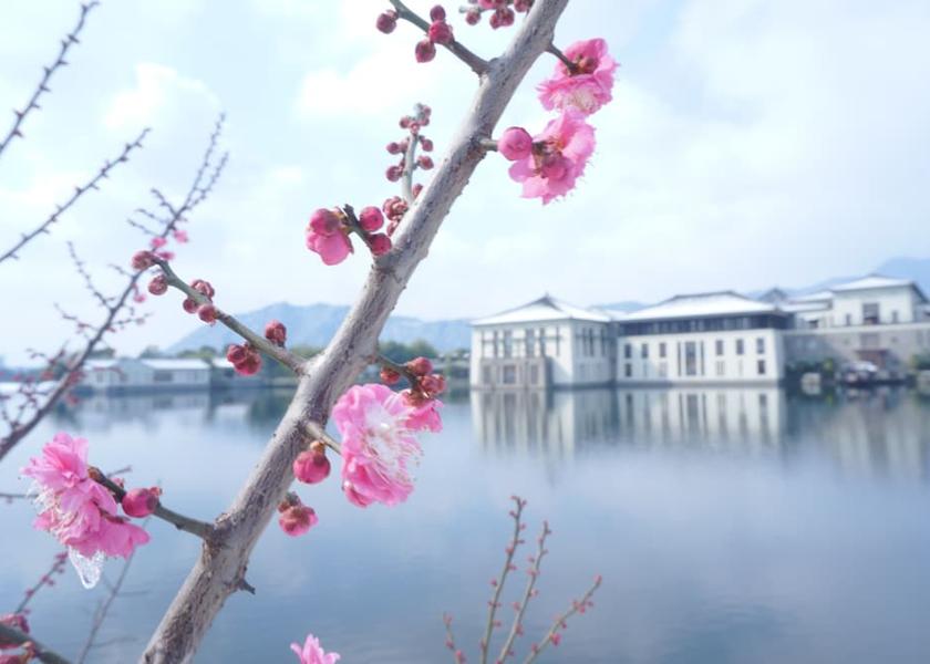 Zhejiang Hangzhou View from Property