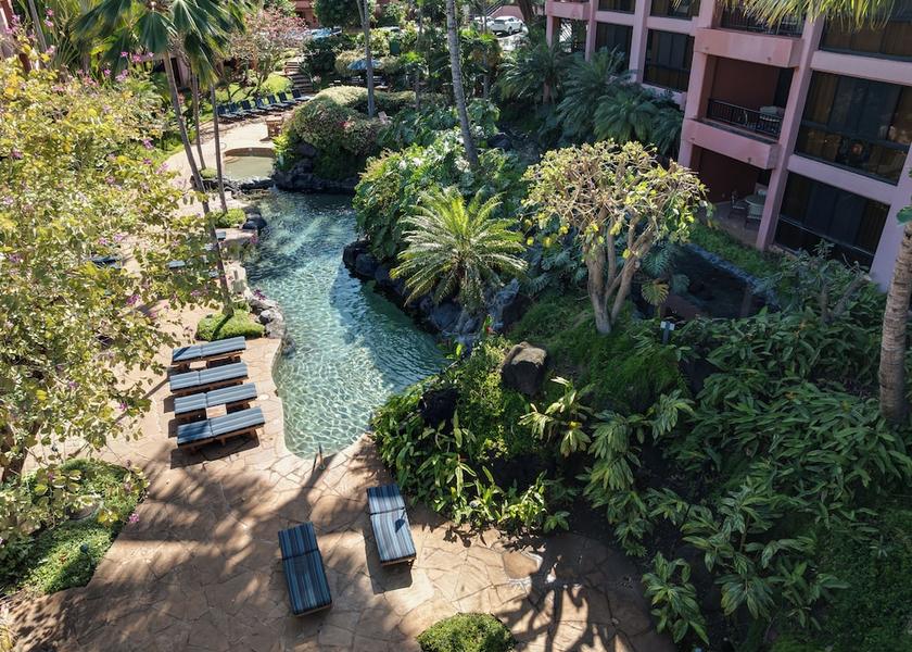Hawaii Lahaina Pool