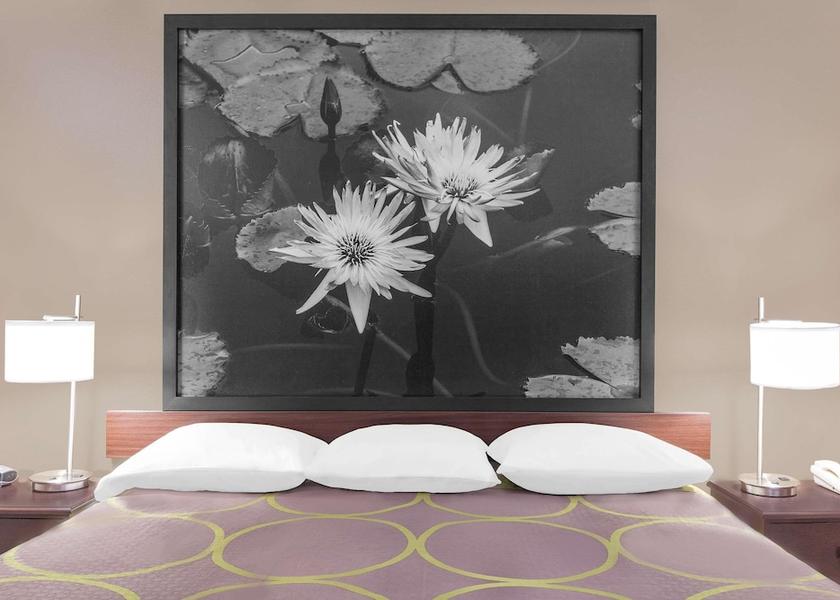 Mississippi Bay St Louis Room