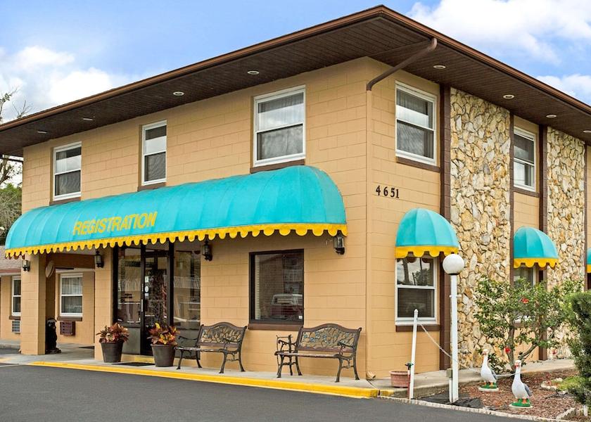 Florida Kissimmee Primary image