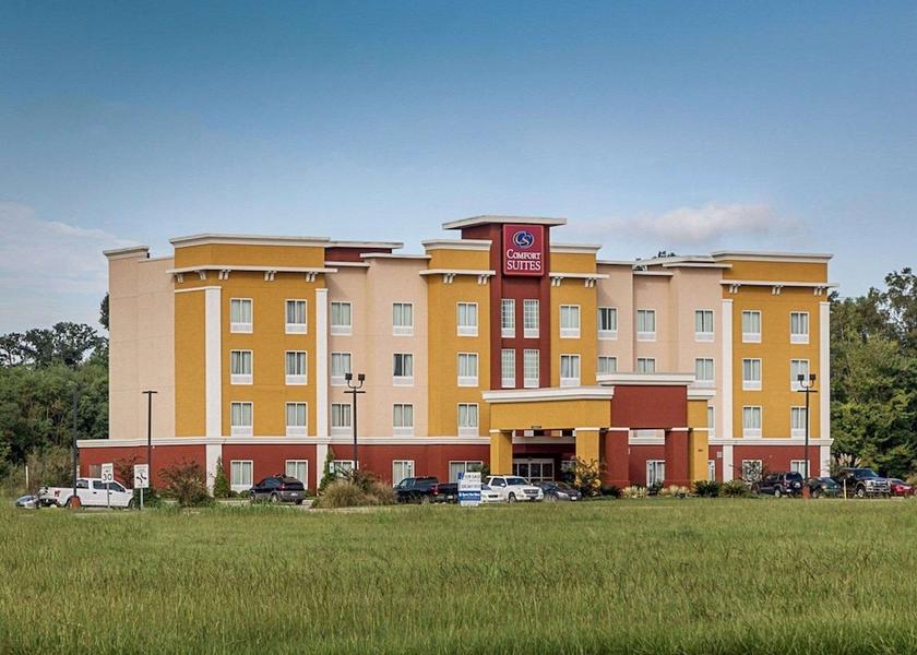 Louisiana Gonzales Primary image