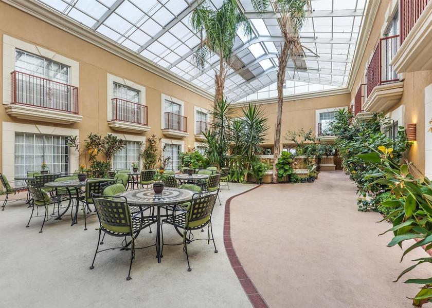 Texas Schertz Primary image