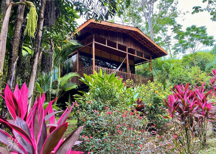 Alajuela San Isidro de Penas Blancas Room