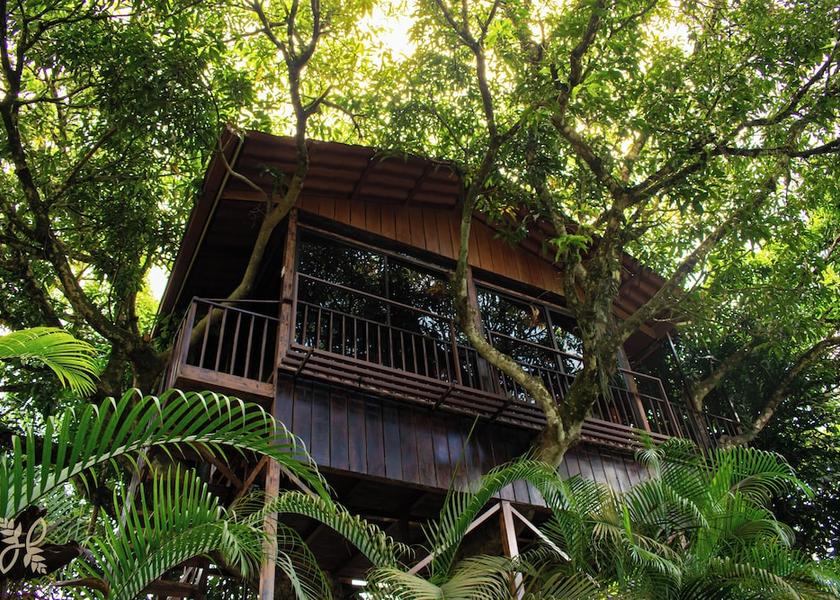 Alajuela San Isidro de Penas Blancas Room