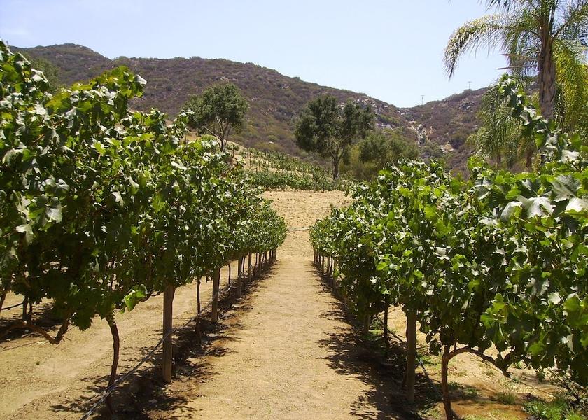 California Spring Valley Property Grounds