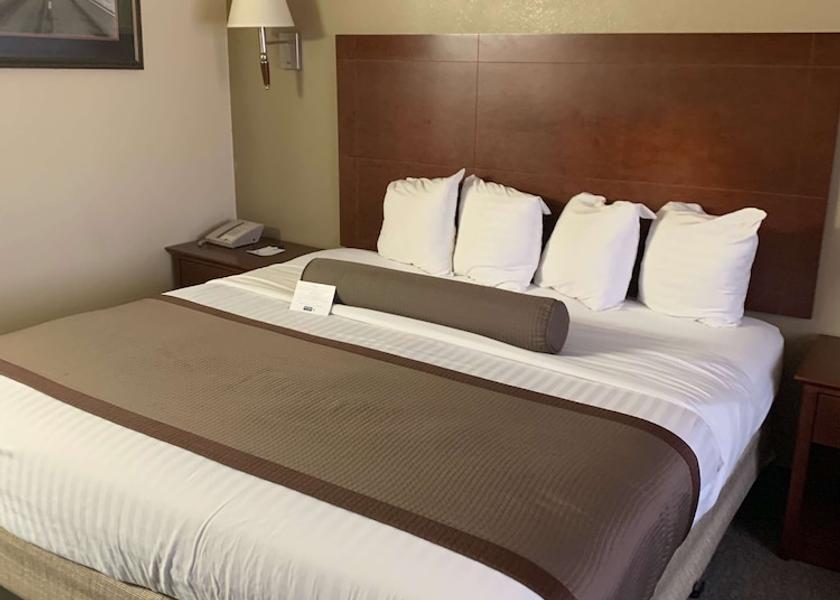 Arizona Ehrenberg Room