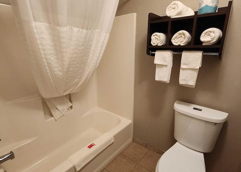 Minnesota Ortonville Bathroom