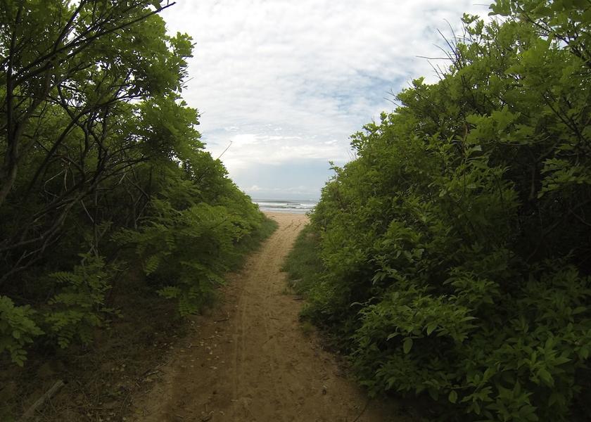 Guanacaste Cabo Velas Exterior Detail