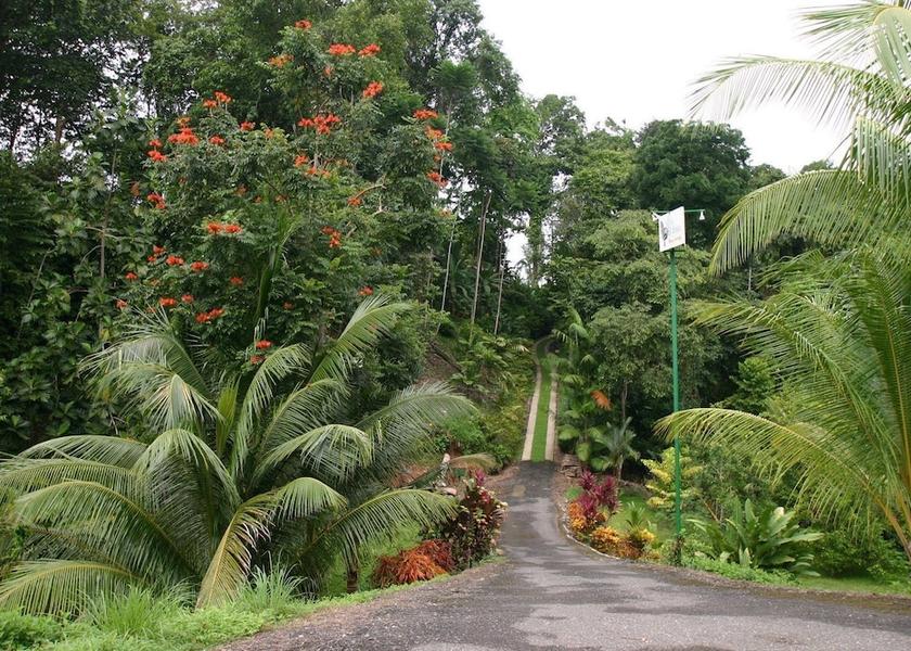 San Jose Ojochal View from Property
