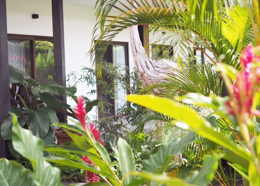 Puntarenas Esterillos Exterior Detail