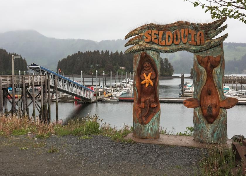 Alaska Seldovia View from Property