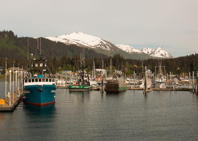 Alaska Seldovia View from Property