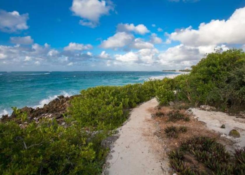 New South Wales Shoal Bay Beach