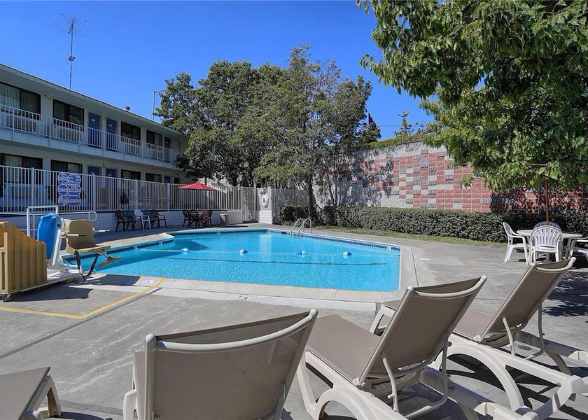 California Walnut Creek Pool
