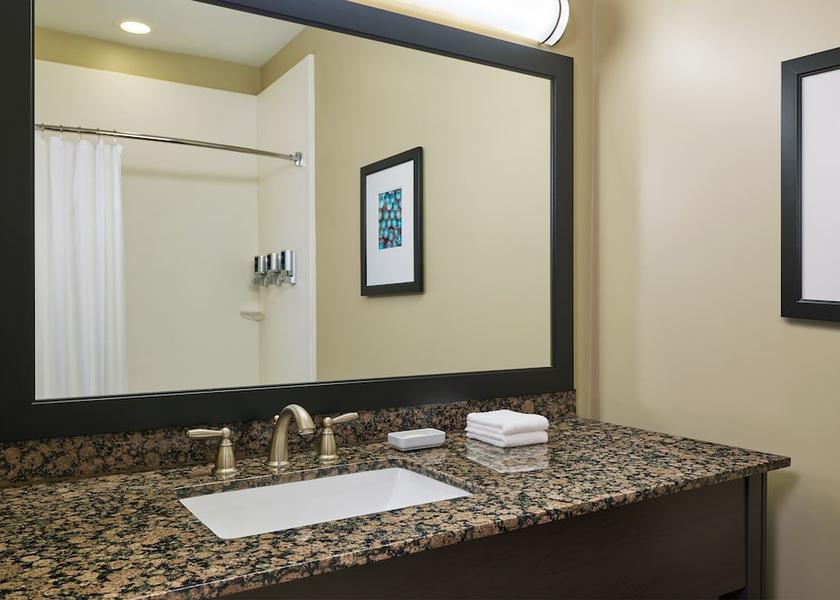 Vermont Williston Bathroom