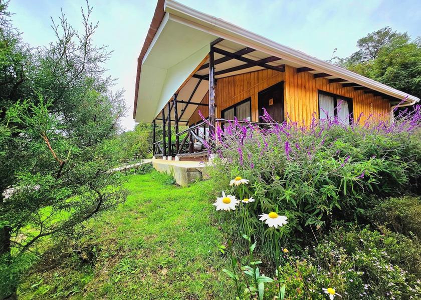 San José Province Copey View from room